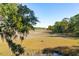 Scenic view of a tranquil marsh landscape with tall grasses and lush trees at 1505 Marsh Haven, Johns Island, SC 29455