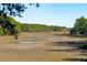 Tranquil marsh landscape with wooden walkways and lush greenery at 1505 Marsh Haven, Johns Island, SC 29455