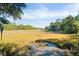 Serene marsh landscape featuring golden grasses and a calm waterway at 1505 Marsh Haven, Johns Island, SC 29455