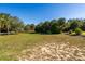 Open backyard with grass and mature trees at 3131 Palmetto Blvd, Edisto Island, SC 29438