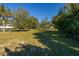 Open backyard with grass and mature trees at 3131 Palmetto Blvd, Edisto Island, SC 29438