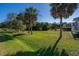 Spacious backyard with lush grass and palm trees at 3131 Palmetto Blvd, Edisto Island, SC 29438