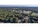 Aerial view of a residential neighborhood nestled in a wooded area, showcasing a variety of homes and landscape at 3284 Sassy Dr, Johns Island, SC 29455