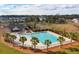 Community lap pool surrounded by palm trees at 1038 Briar Rose Ln, Ladson, SC 29456