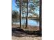 View of a lake from behind some trees in a residential area at 173 Belfort Pl, Summerville, SC 29486