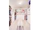 Large walk-in closet with ample shelving and hanging space at 2009 Elvington Rd, Johns Island, SC 29455