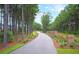 Community entrance with a paved road lined by lush trees at 502 Frutchey Ct, Summerville,  29486