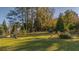 Spacious backyard with garden and trees at 103 Sw Railroad Ave, Saint George, SC 29477