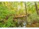 Serene creekside property with lush foliage and tranquil water reflections at 1068 Blockade Runner Pkwy, Summerville, SC 29485
