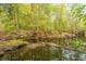 Scenic creek setting with tranquil waters and abundant foliage at 1068 Blockade Runner Pkwy, Summerville, SC 29485