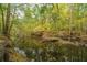 Picturesque creek reflecting surrounding trees and foliage at 1068 Blockade Runner Pkwy, Summerville, SC 29485