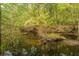Peaceful creek view, surrounded by autumnal trees and natural beauty at 1068 Blockade Runner Pkwy, Summerville, SC 29485