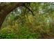 Mature trees and lush undergrowth create a serene forest setting at 1068 Blockade Runner Pkwy, Summerville, SC 29485