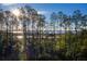 Aerial view of coastal property with lush trees and marsh views at 1623 Cultivation Lane St # 446, Mount Pleasant, SC 29466