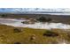 Aerial view of coastal property with marsh, water, and palm trees at 1623 Cultivation Lane St # 446, Mount Pleasant, SC 29466