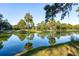 Peaceful lake view with reflections of homes and trees at 5208 Holly Forest, Hollywood,  29449