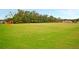 Expansive green soccer field with a goal at 522 Oak View Way, Summerville, SC 29483