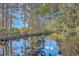 Scenic waterfront view with lush foliage at 4401 Prices Bridge Ln, Walterboro, SC 29488