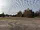 Open lot with mature trees and distant houses at 938 Weeks Ln, Round O, SC 29474