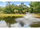 Serene pond with fountain and lush greenery at 7833 Montview Rd, North Charleston, SC 29418