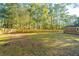 Spacious backyard with wooden fence and mature trees at 110 Edgebrook Dr # 28, Summerville, SC 29486