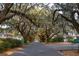 Scenic street lined with moss-draped oak trees at 2149 Edisto Ave, Charleston, SC 29412