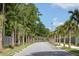 Luxury community with palm trees and a paved road at 1726 Cultivation Ln # 534, Mount Pleasant, SC 29466