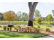 Community picnic area with table, grill, and large oak tree at 1726 Cultivation Ln # 534, Mount Pleasant, SC 29466