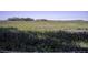 Scenic view of a tranquil marsh landscape at 32 Marsh Island (4 Shares) Ln, Isle of Palms, SC 29451