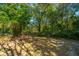 Wooded backyard with a partially fenced area at 434 Rotherwood Dr, Charleston, SC 29407