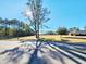 Spacious lot with mature trees and a home in the distance at 388 E Main St, Harleyville, SC 29448