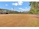 Open backyard space with mature trees and landscaping at 388 E Main St, Harleyville, SC 29448