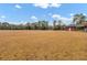 Large backyard with mature trees and open space at 388 E Main St, Harleyville, SC 29448