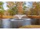 Serene pond with a central water fountain at 1068 Witherbee Rd, Moncks Corner, SC 29461