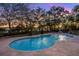 Inviting pool with water features at sunset at 122 Cainhoy Landing Rd, Charleston, SC 29492