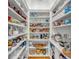 Well-stocked pantry with ample shelving for food storage at 1521 Murphys Island Ct, Awendaw, SC 29429