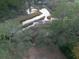 Marshfront property with winding creek at 1905 Central Park Rd # B, Charleston, SC 29412