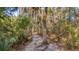 Paved nature trail leading through lush vegetation at 1944 Gracewood Dr, Charleston, SC 29414