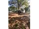Spacious backyard with mature trees and ample space at 2305 Myrtle St, Edisto Beach, SC 29438