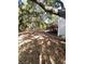 Large backyard with mature trees providing shade at 2305 Myrtle St, Edisto Beach, SC 29438