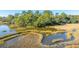 Aerial view of tranquil marsh and waterways at 46 Chadwick Dr, Charleston, SC 29407