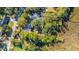 Aerial view of a residential area near a waterway, showcasing mature trees at 46 Chadwick Dr, Charleston, SC 29407