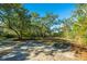 Wooded backyard offering seclusion and tranquility at 46 Chadwick Dr, Charleston, SC 29407