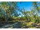 Wooded backyard with lush vegetation and sunlight at 46 Chadwick Dr, Charleston, SC 29407