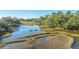 Aerial view of a serene marsh with calm waters and abundant marsh vegetation at 46 Chadwick Dr, Charleston, SC 29407