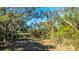 Wooded area with Spanish moss-draped trees and marsh grasses at 46 Chadwick Dr, Charleston, SC 29407