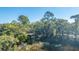 View of property surrounded by tall trees and lush greenery at 46 Chadwick Dr, Charleston, SC 29407
