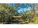 Mature trees with Spanish moss, creating a scenic view at 46 Chadwick Dr, Charleston, SC 29407