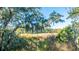 Mature trees with Spanish moss, showcasing natural beauty at 46 Chadwick Dr, Charleston, SC 29407