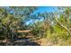 Lush, green landscape with mature trees and Spanish moss at 46 Chadwick Dr, Charleston, SC 29407